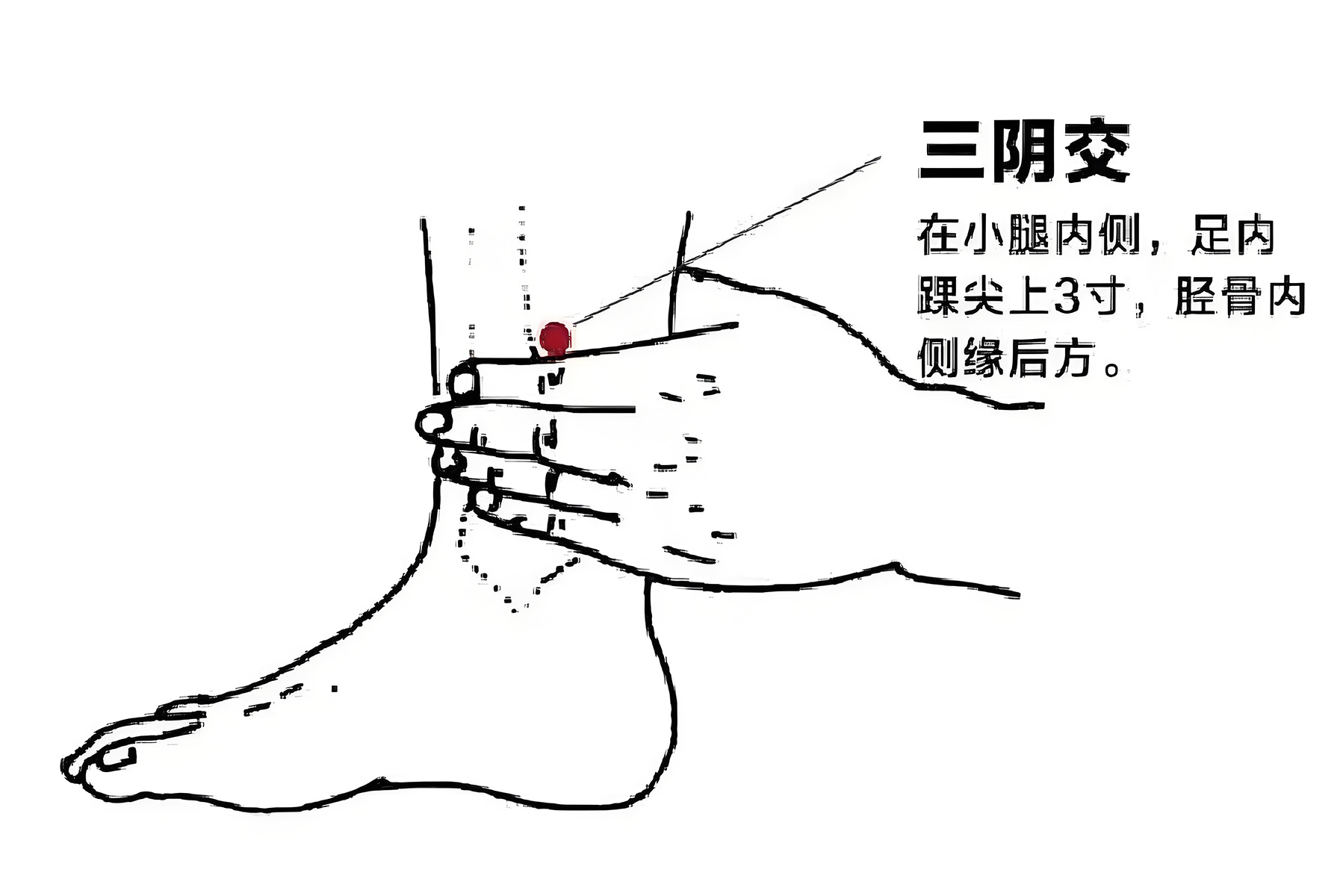 中医常用穴位大全：图解、定位、功效与家庭保健