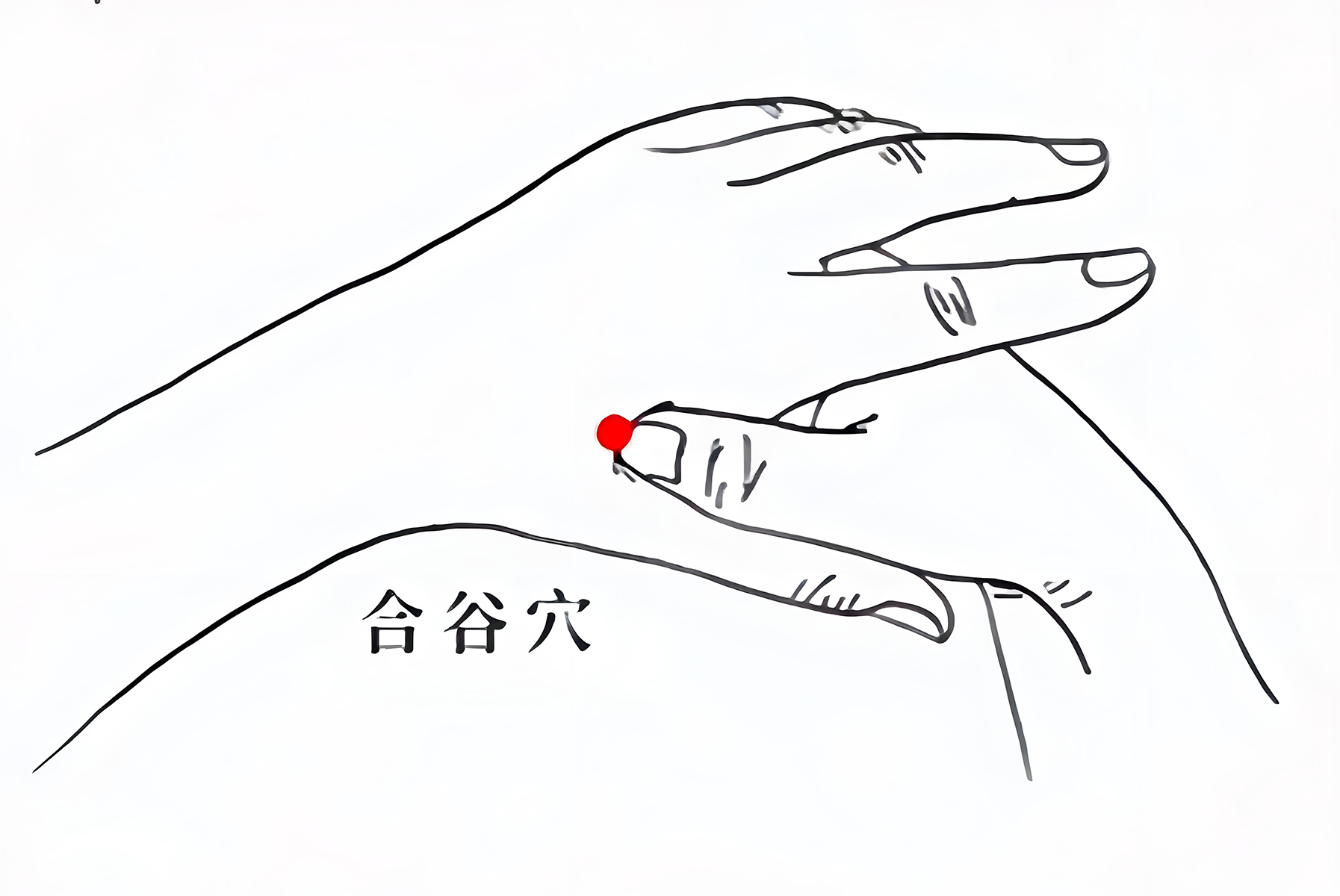 中医常用穴位大全：图解、定位、功效与家庭保健