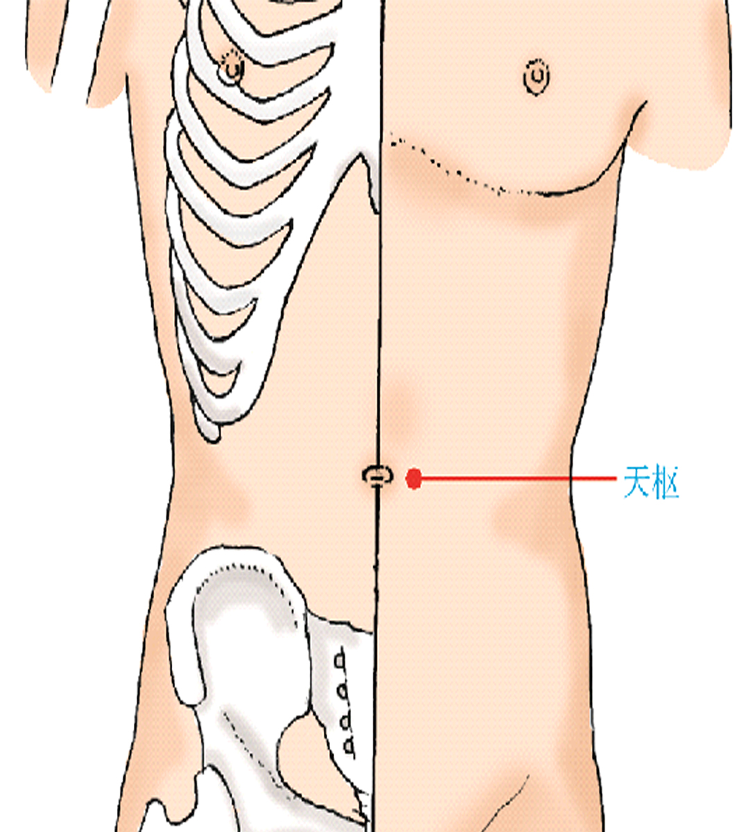 中医常用穴位大全：图解、定位、功效与家庭保健