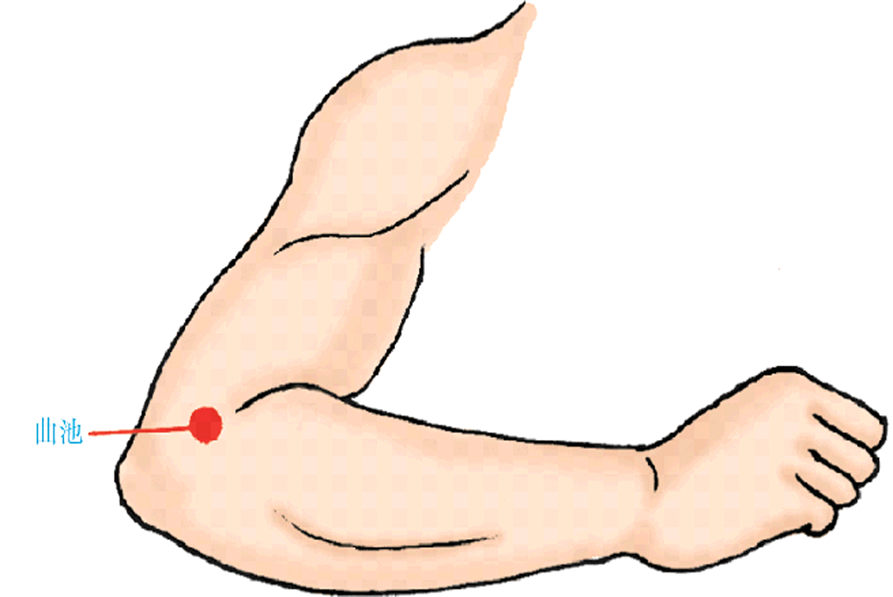中医常用穴位大全：图解、定位、功效与家庭保健
