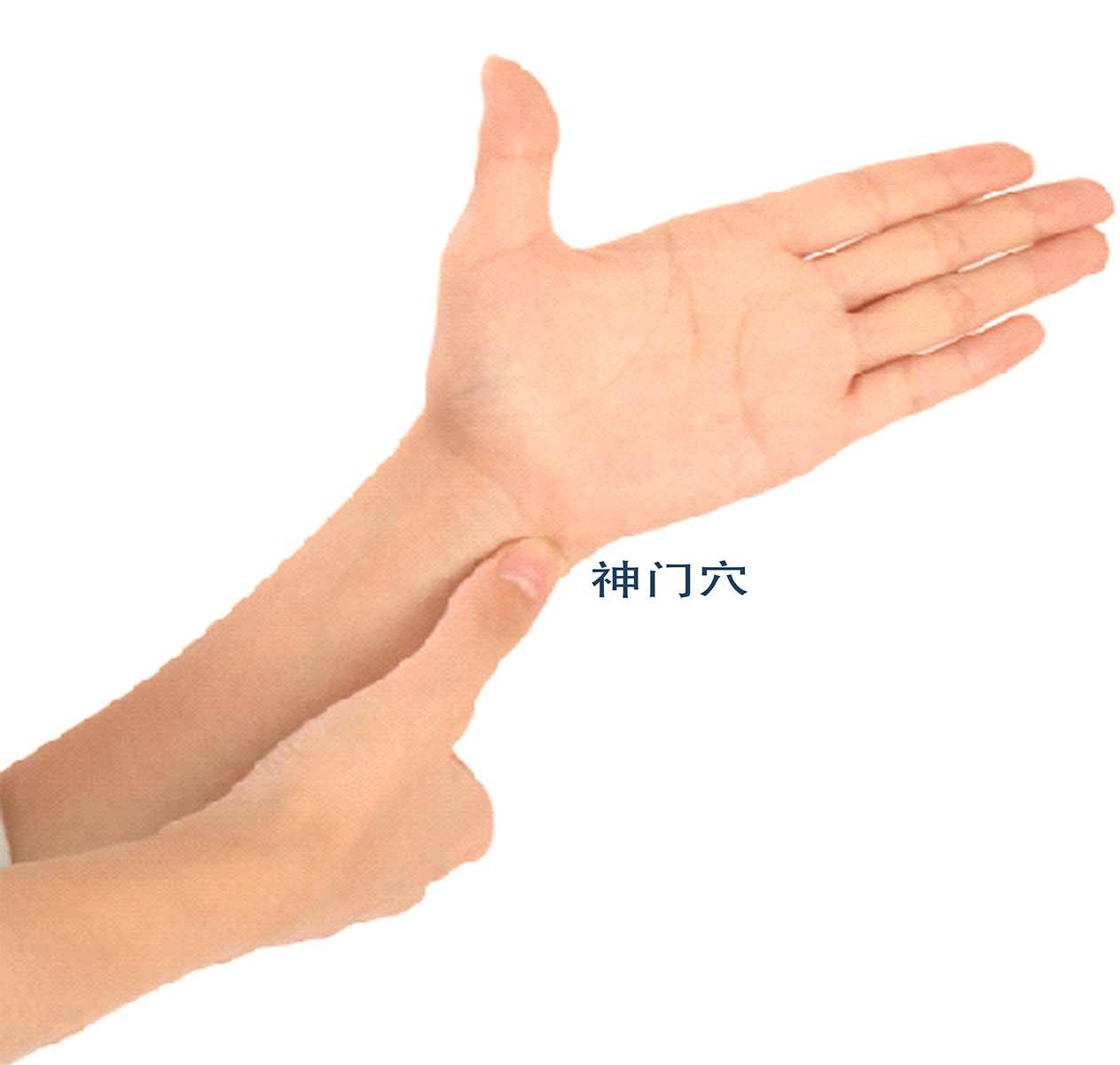 中医常用穴位大全：图解、定位、功效与家庭保健