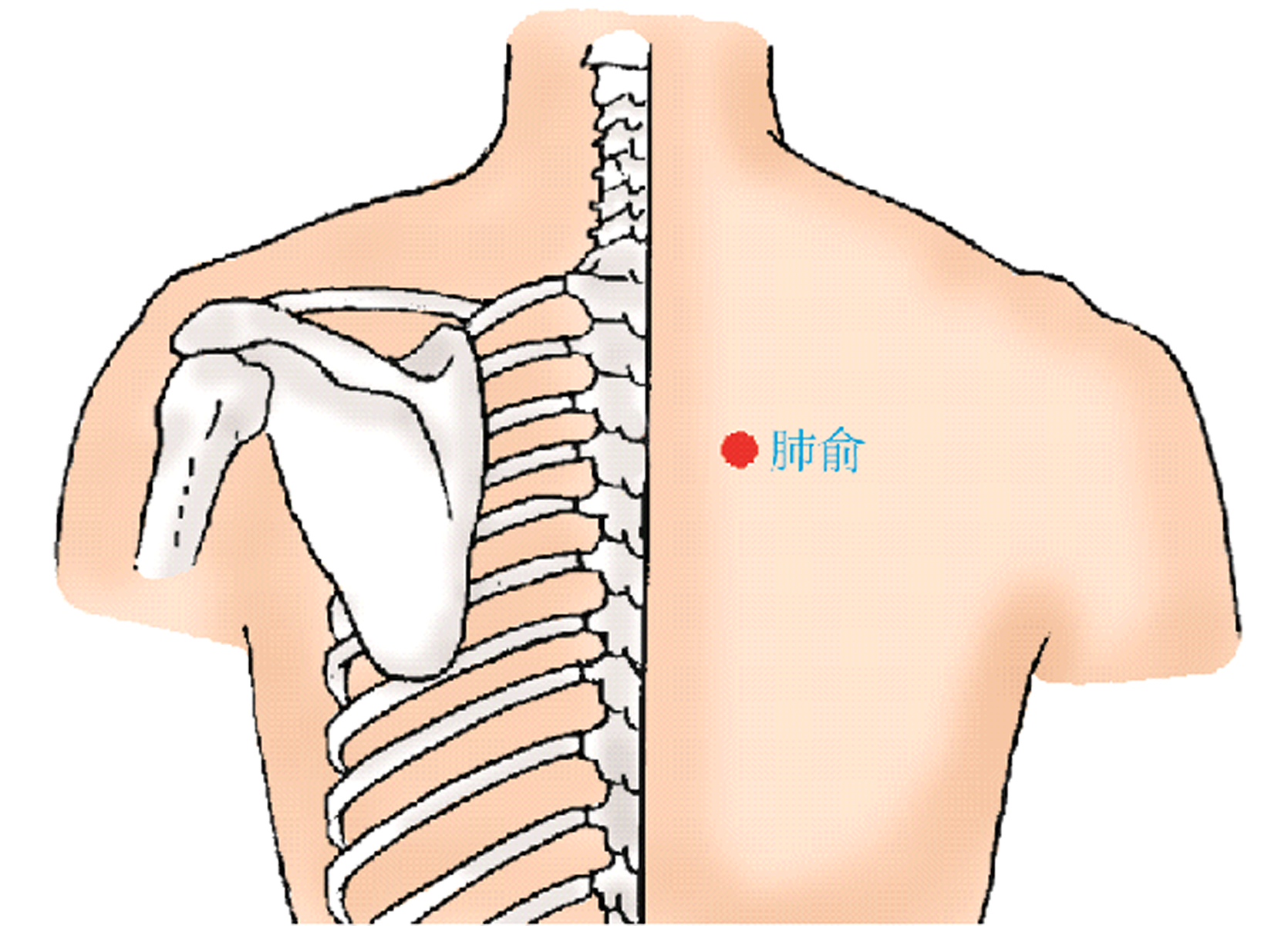 中医常用穴位大全：图解、定位、功效与家庭保健