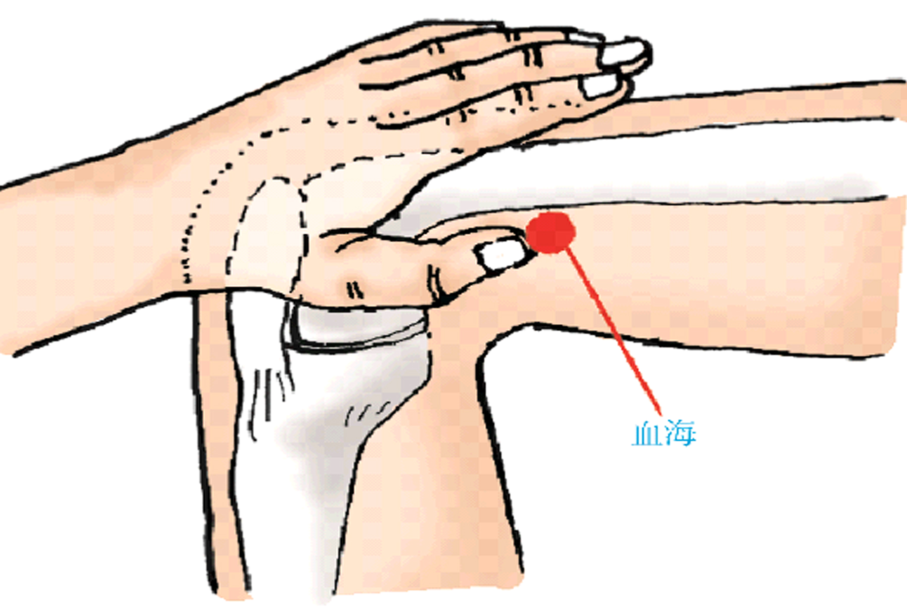 中医常用穴位大全：图解、定位、功效与家庭保健