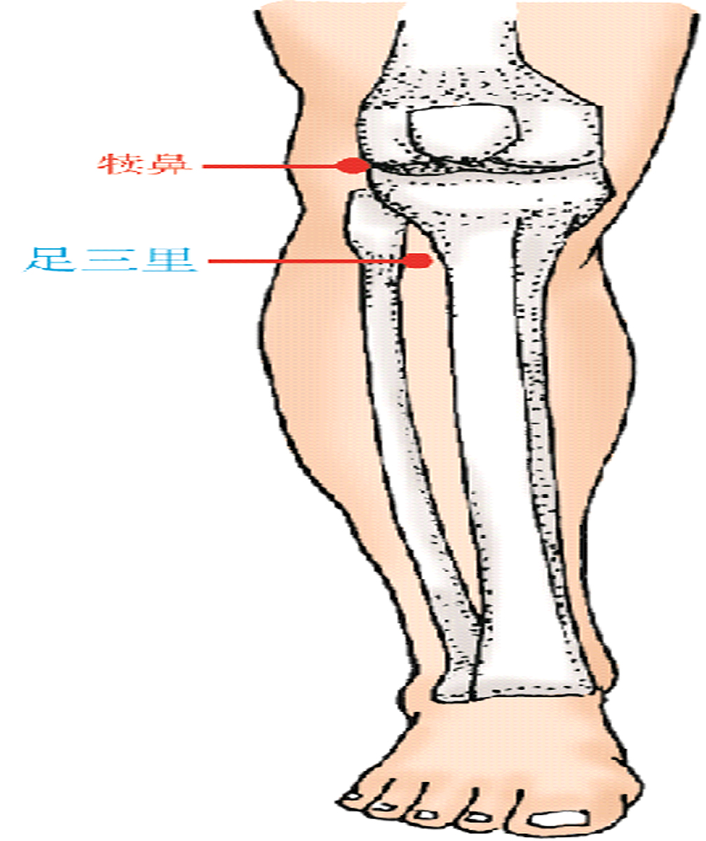 中医常用穴位大全：图解、定位、功效与家庭保健