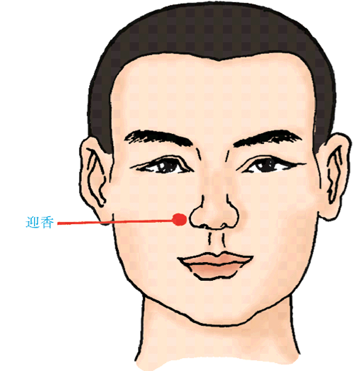 中医常用穴位大全：图解、定位、功效与家庭保健