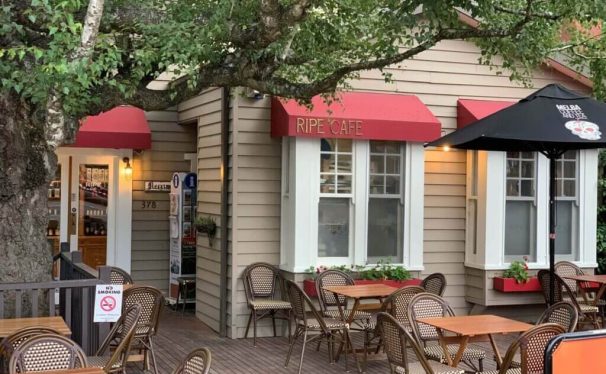 夏季养生：防暑降温与“养阳”如何兼得？中医教你科学平衡之道