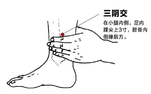 中医常用穴位大全：图解、定位、功效与家庭保健