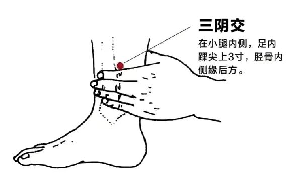 中医常用穴位大全：图解、定位、功效与家庭保健