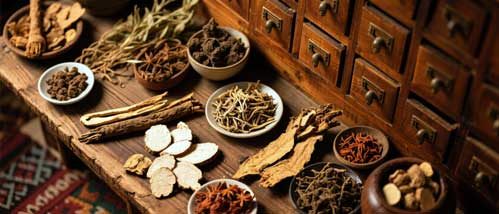 中药命名与分类